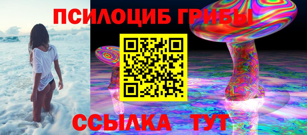 Псилоцибиновые грибы GOLDEN TEACHER  Вход с VPN  Псилоцибиновые грибы Magic Shrooms  Старый Оскол 